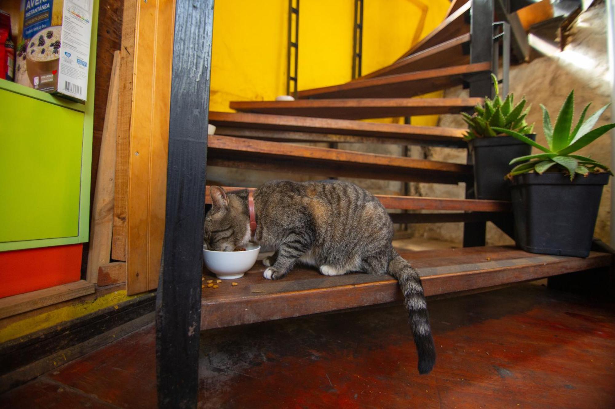 La Casa Del Puerto, Hostal Cultural, Cerro Alegre Valparaiso Luaran gambar