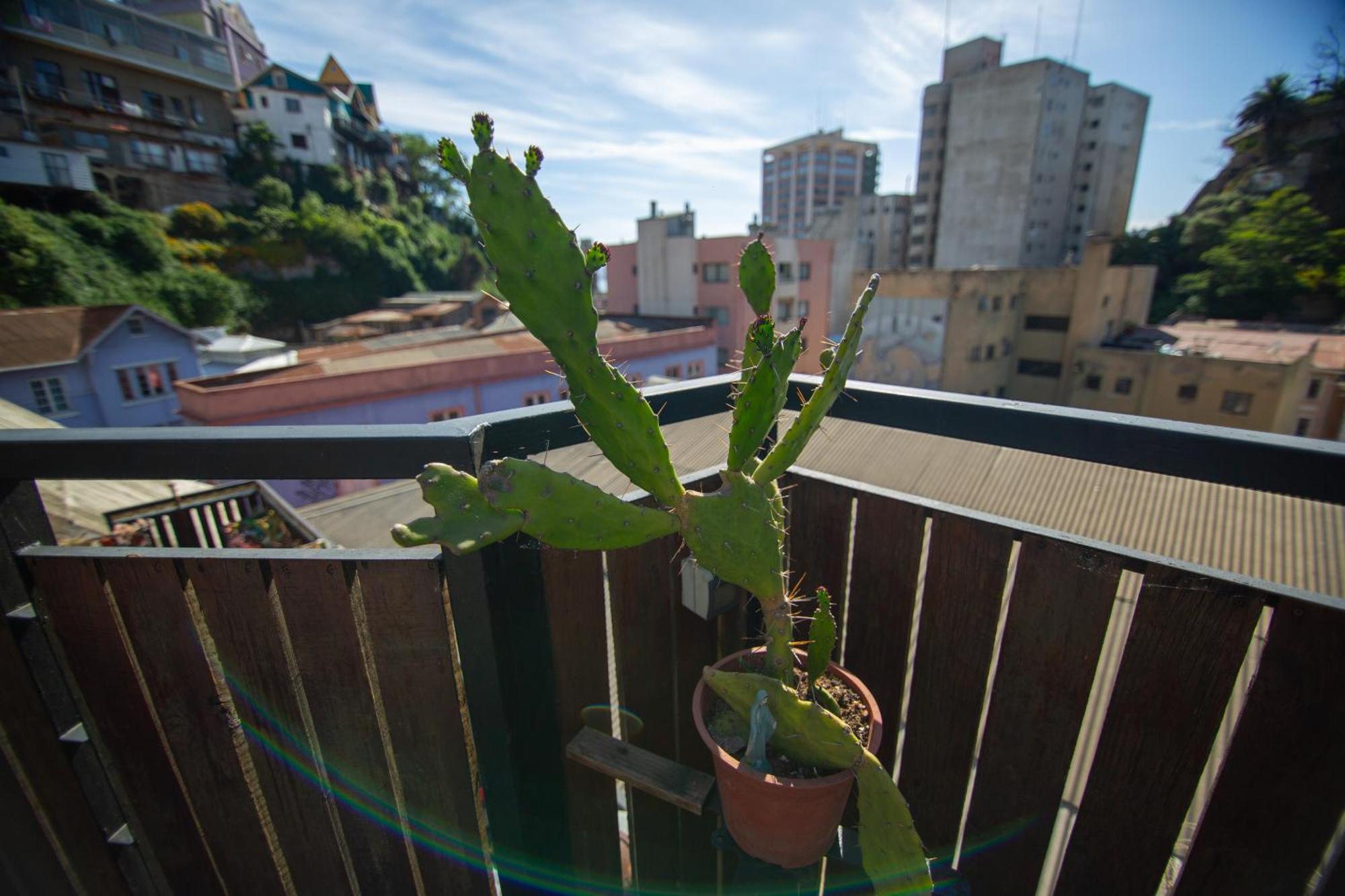 La Casa Del Puerto, Hostal Cultural, Cerro Alegre Valparaiso Luaran gambar