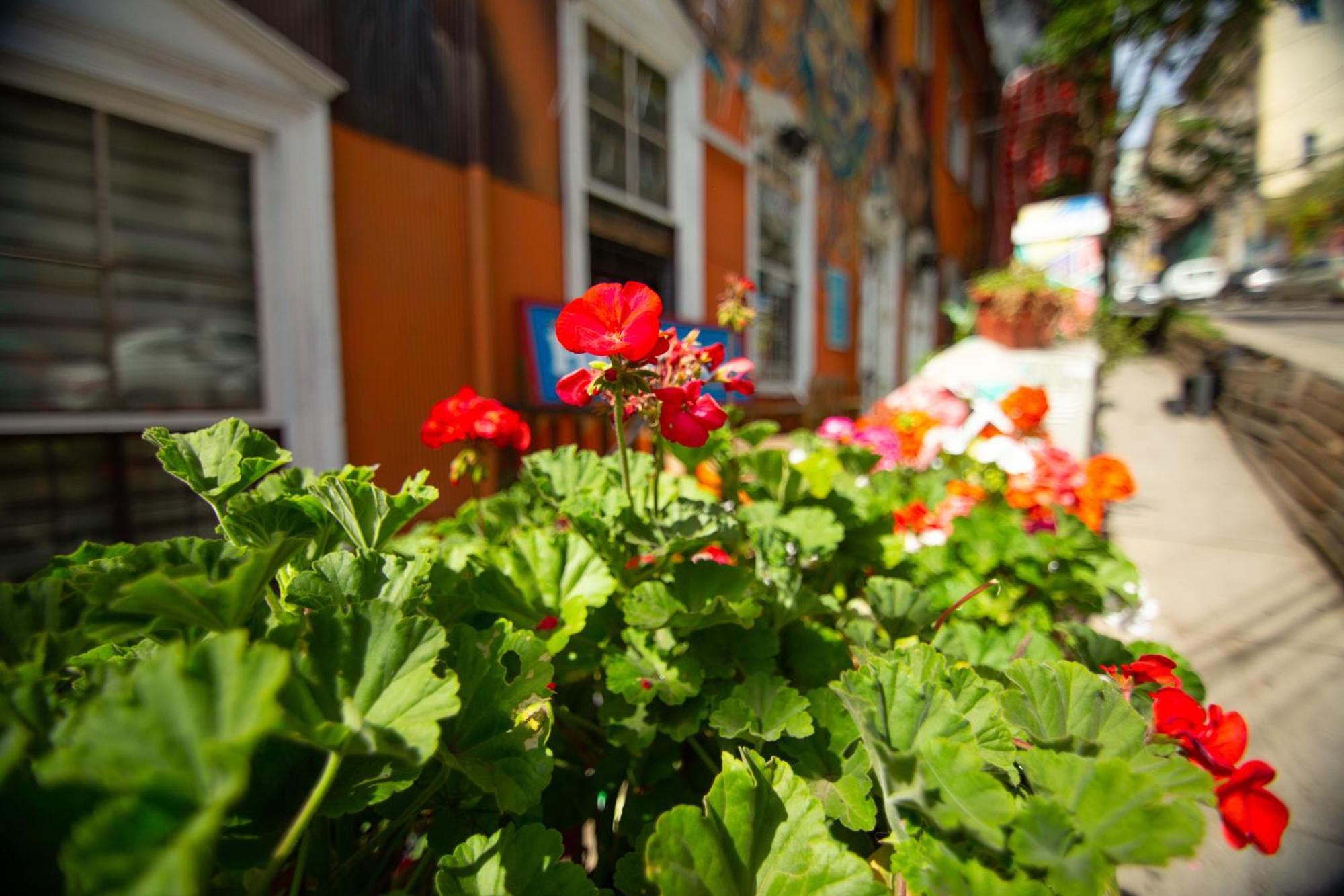 La Casa Del Puerto, Hostal Cultural, Cerro Alegre Valparaiso Luaran gambar